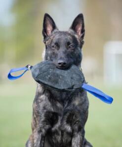 Toughie Tug Toy 31 Toughie Tug Toy