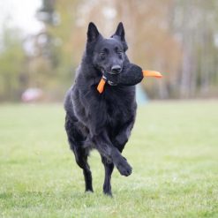 Toughie Tug Toy