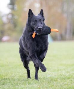 Toughie Tug Toy 24 Toughie Tug Toy