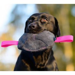 Toughie Tug Toy