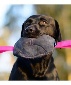 Toughie Tug Toy 25 Toughie Tug Toy