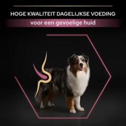 Pro Plan seniorvoer info: hoge kwaliteit dagelijkse voeding voor een gevoelige huid