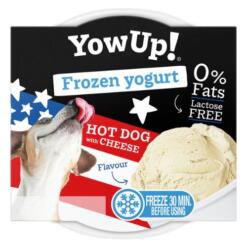 Hot Dog With Cheese - Frozen Yogurt - Yow Up!
