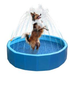 Splash Sprinkler Pool