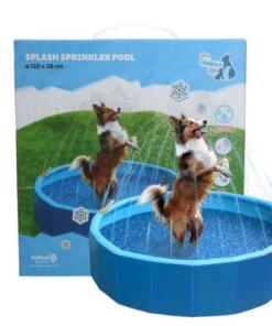 Splash Sprinkler Pool