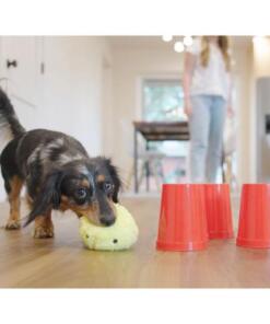 The Dog's Best Friend Game 11 The Dog's Best Friend Game