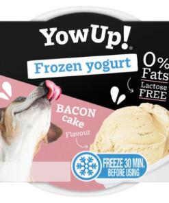 YowUp! Frozen Yoghurt 10 YowUp! Frozen Yoghurt Bacon cake