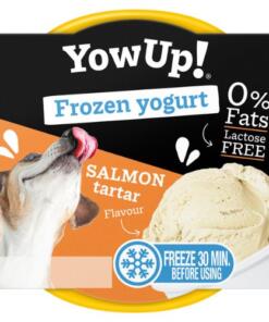 YowUp! Frozen Yoghurt Salmon tartar
