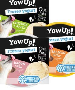 YowUp! Frozen Yoghurt