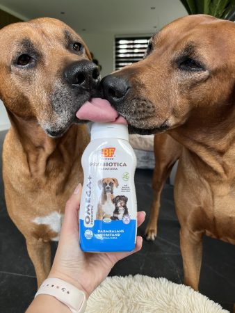 Omega+ Probiotica voor honden