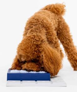 Louvre - Pawzler 11 Louvre - Pawzler