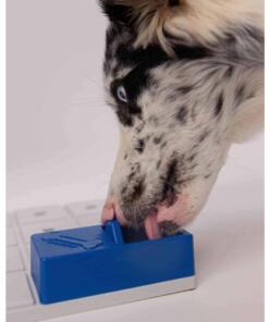 Onix - Pawzler 11 Onix Pawzler