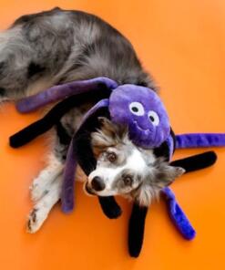 Grunterz - Purple Spider 6 Grunterz – Purple Spider