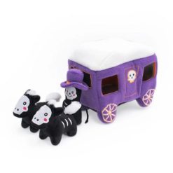 Haunted Carriage