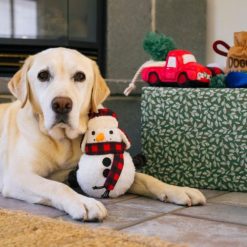 Home for the Holidays Blizzard Buddy