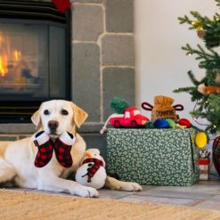 Home for the Holidays Paw Warmers