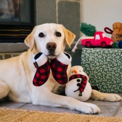 Home for the Holidays Paw Warmers