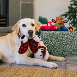 Home for the Holidays Paw Warmers