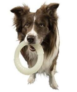 Ring Glow in the dark - Kiwi Walker