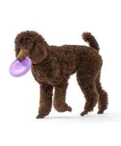 Zisc 29 Zisc Lavender - West Paw