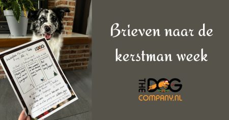 Brieven naar de kerstman week