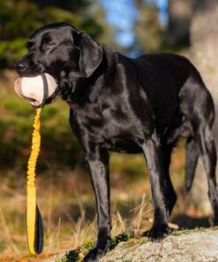 BungeeSweetie XL ball 30 BungeeSweetie XL - Oranje/Zwart