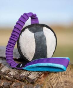 BungeeSweetie XL ball 27 BungeeSweetie XL - Paars/Blauw