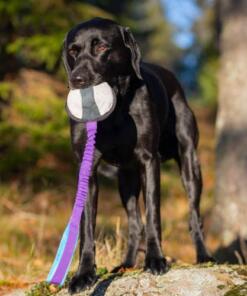 BungeeSweetie XL ball 25 BungeeSweetie XL - Paars/Blauw