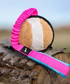 BungeeSweetie XL ball 39 BungeeSweetie XL - Roze/Blauw