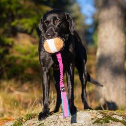 BungeeSweetie XL - Roze/Blauw