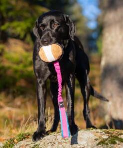 BungeeSweetie XL ball 34 BungeeSweetie XL - Roze/Blauw