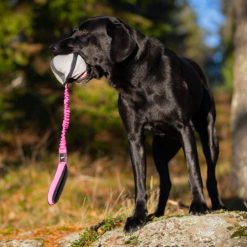 BungeeSweetie XL - Roze/Zwart