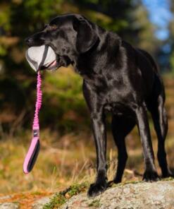 BungeeSweetie XL ball 31 BungeeSweetie XL - Roze/Zwart