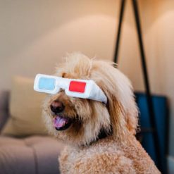Hollywoof Cinema 3-Dog Glasses
