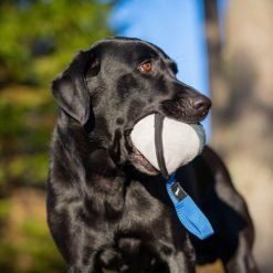 Sweetie XL ball 27 Sweetie XL Blauw