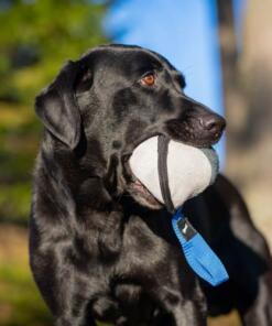 Sweetie XL ball 27 Sweetie XL Blauw