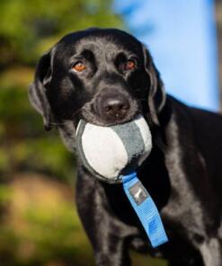 Sweetie XL ball 20 Sweetie XL Blauw