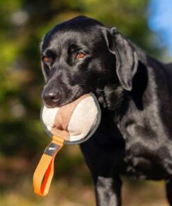 Sweetie XL ball 22 Sweetie XL Oranje