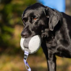 Sweetie XL ball 23 Sweetie XL Paars