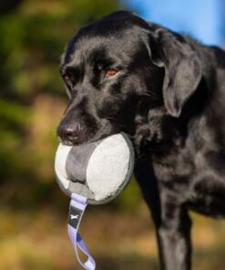 Sweetie XL ball 23 Sweetie XL Paars