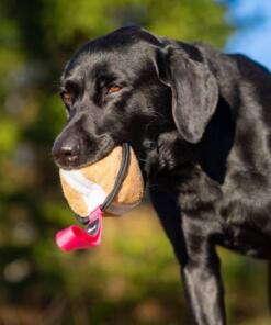 Sweetie XL ball 25 Sweetie XL Roze