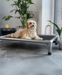 HighBed - Stretcher 13 HighBed Stretcher