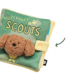 Scout Book