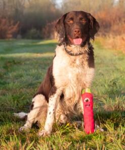 Invaders - Dog Comets