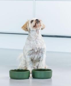 Kronborg Bowl 20 Kronborg Bowl