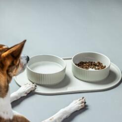 Kronborg Bowl 19 Kronborg Bowl