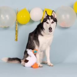 Lunch break 7 Lunch break