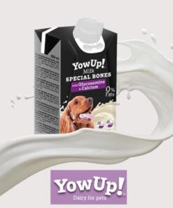 YowUp! Milk Special Bones
