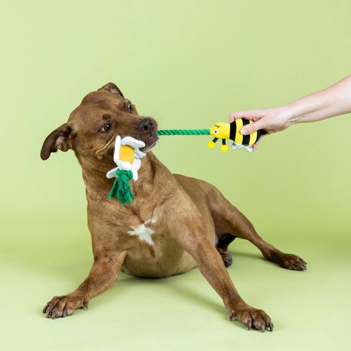 I'm Pollen For You | Hondenspeelgoed Touw met Squeaker en Crinkle 7 Actieve hond speelt met I'm Pollen For You hondenspeelgoed touw