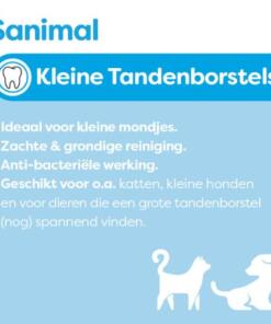 Kleine Tandenborstels 7 Kleine Tandenborstels